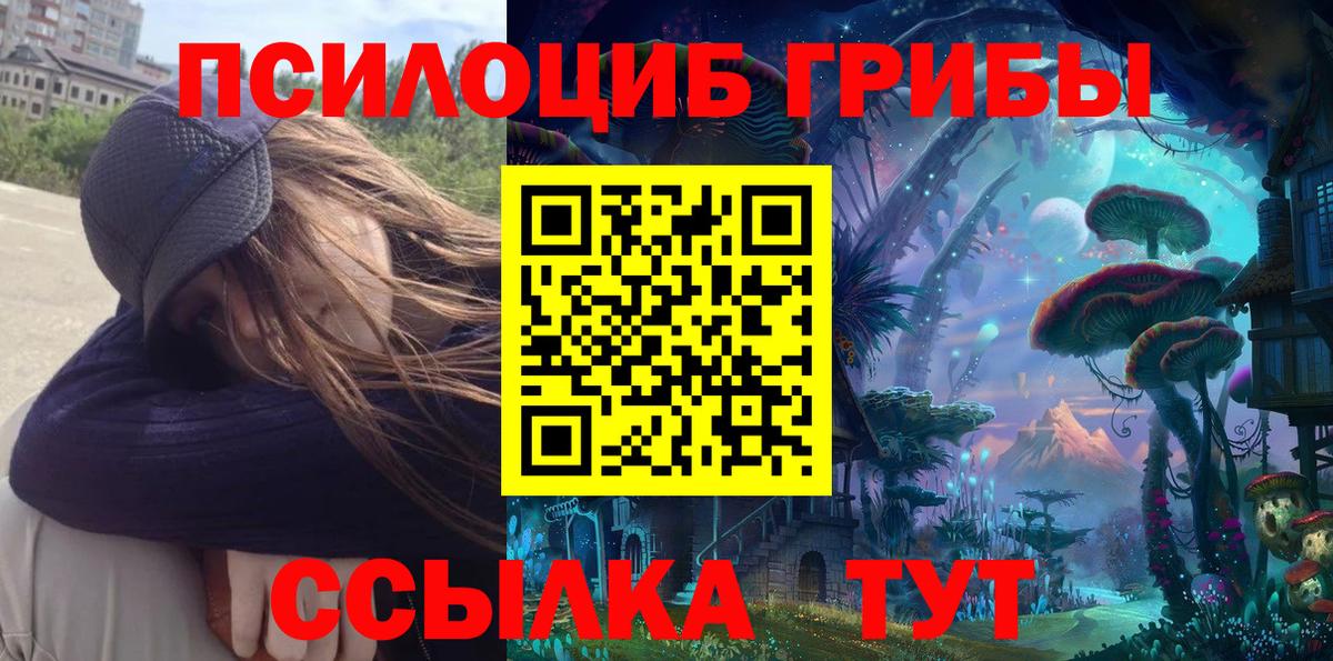 Благодарный  Псилоцибиновые грибы MAGIC MUSHROOMS  Вход с VPN 